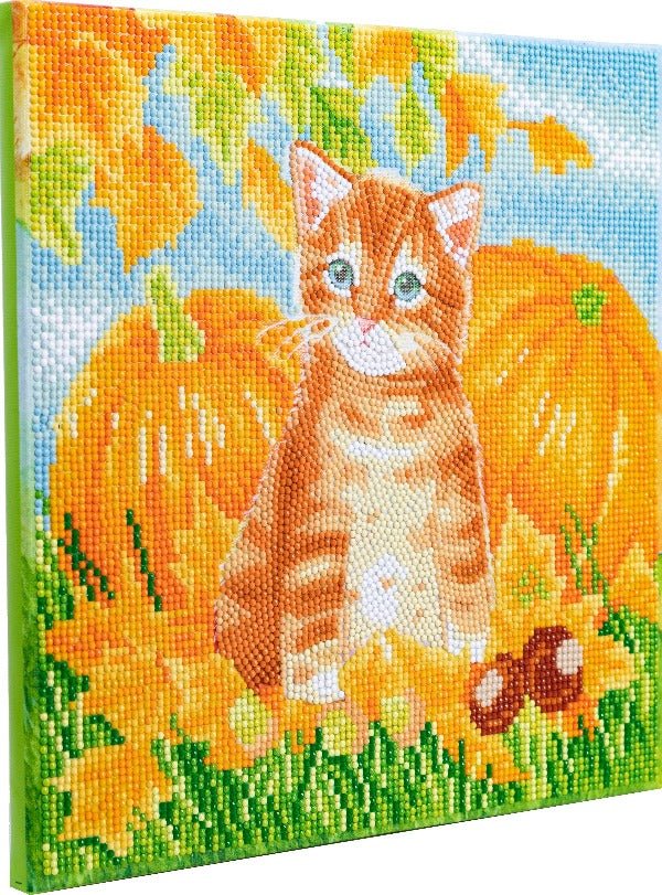 Autumn Cat Crystal Art Canvas Kit 30x30cm
