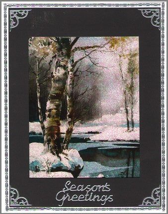 Winter Pond Scene 4 same, Vintage Hue Acetate