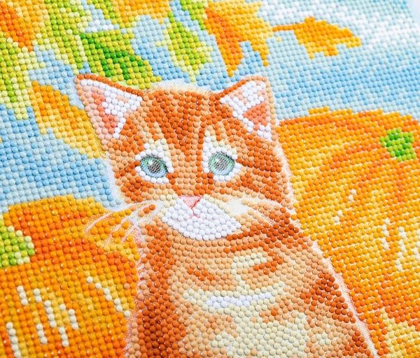Autumn Cat Crystal Art Canvas Kit 30x30cm