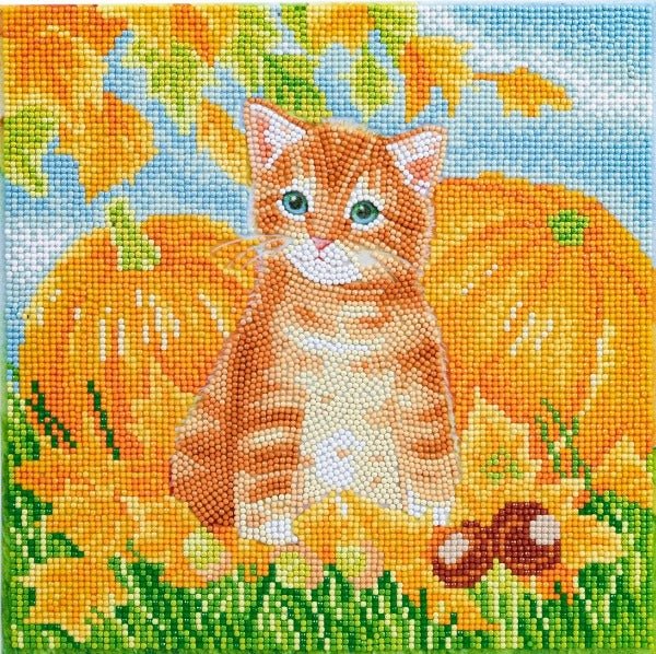 Autumn Cat Crystal Art Canvas Kit 30x30cm
