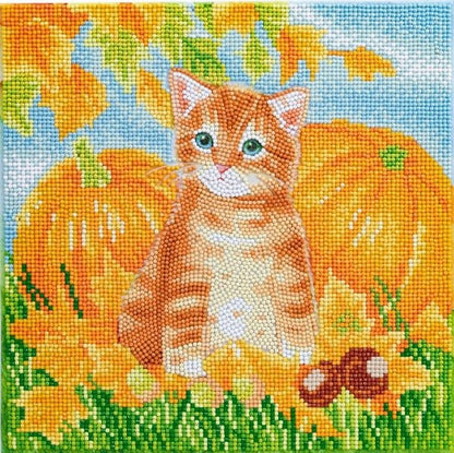 Autumn Cat Crystal Art Canvas Kit 30x30cm
