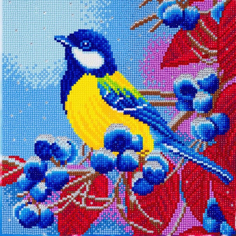 Christmas Bird Crystal Art Canvas Kit 30x30cm