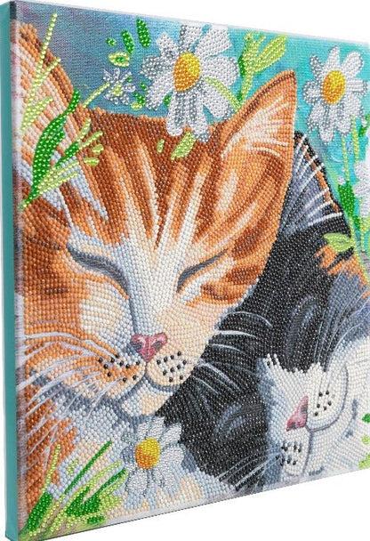 Sleepy Cats Crystal Art Canvas Kit 30x30cm