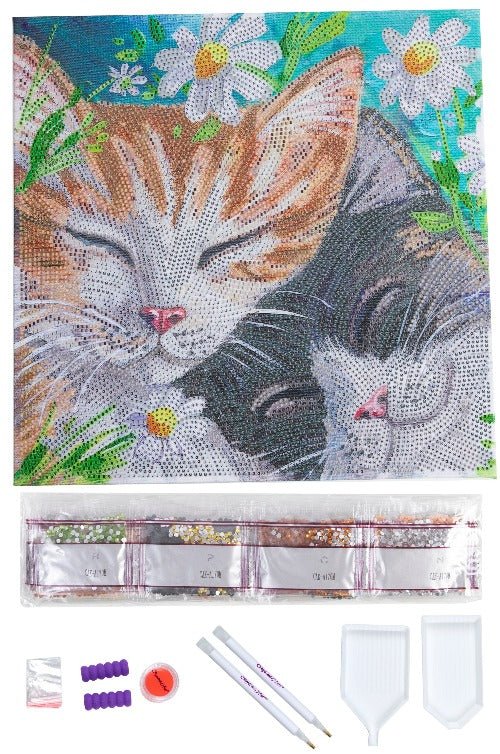 Sleepy Cats Crystal Art Canvas Kit 30x30cm