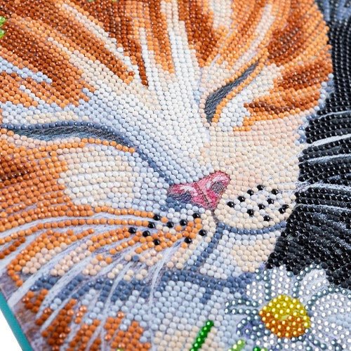 Sleepy Cats Crystal Art Canvas Kit 30x30cm