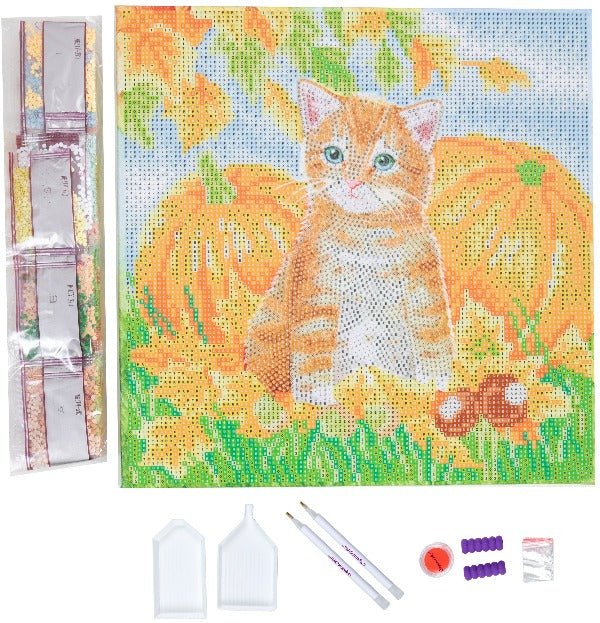 Autumn Cat Crystal Art Canvas Kit 30x30cm