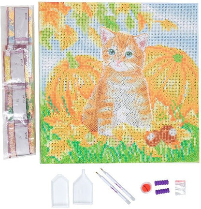 Autumn Cat Crystal Art Canvas Kit 30x30cm
