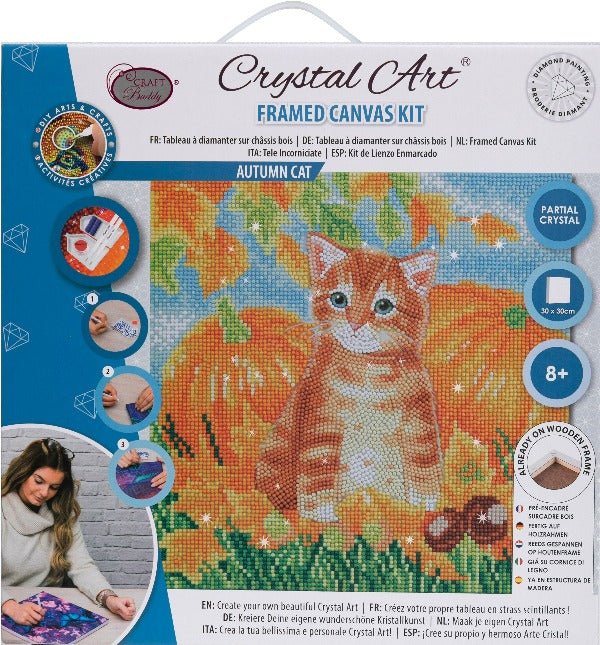 Autumn Cat Crystal Art Canvas Kit 30x30cm