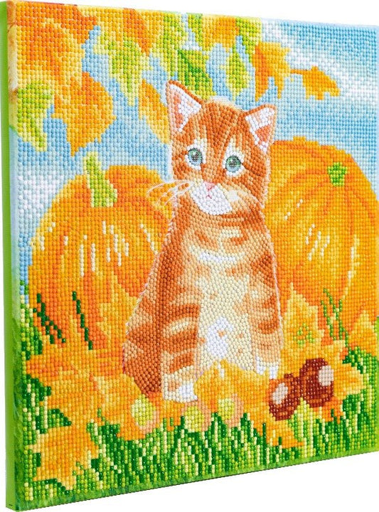 Autumn Cat Crystal Art Canvas Kit 30x30cm