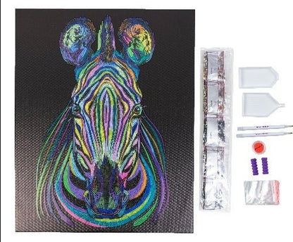Rainbow Zebra Crystal Art Canvas Kit 40x50cm