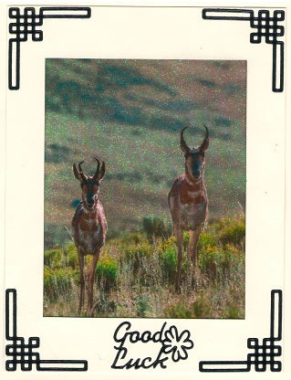 Animals of the Wild 1, Vintage Hue Acetate