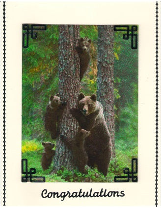Animals of the Wild 1, Vintage Hue Acetate