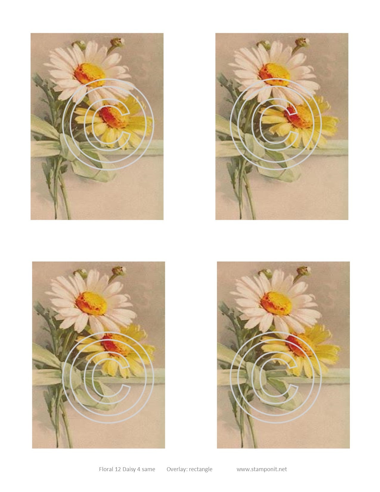 Floral 12 Daisy, Vintage Hue Acetate