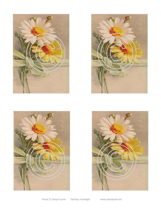 Floral 12 Daisy, Vintage Hue Acetate