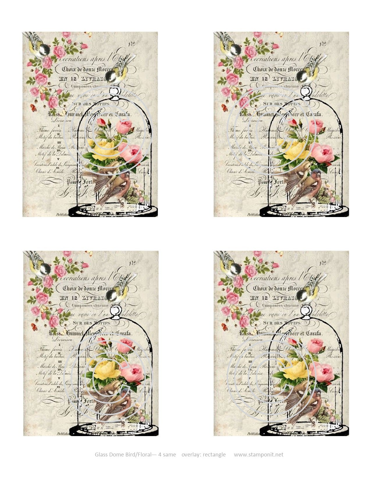 Glass Dome Bird-Floral, Vintage Hue Acetate