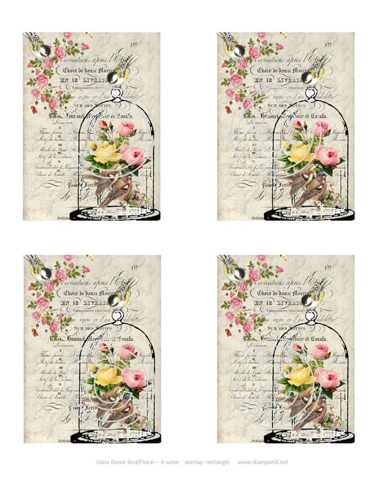 Glass Dome Bird-Floral, Vintage Hue Acetate