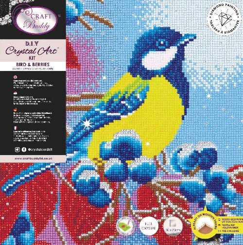 Christmas Bird Crystal Art Canvas Kit 30x30cm