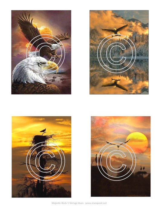 Majestic Birds, Vintage Hue Acetate