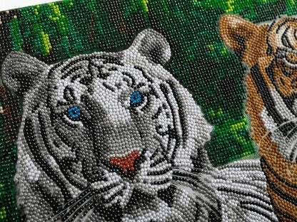 Tigers Crystal Art Canvas Kit 40x50cm