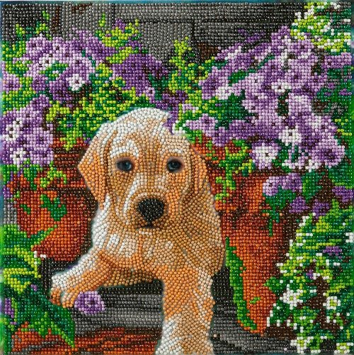 Floral Pup Crystal Art Canvas Kit 30x30cm