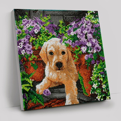 Floral Pup Crystal Art Canvas Kit 30x30cm