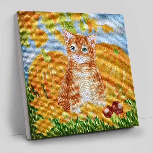 Autumn Cat Crystal Art Canvas Kit 30x30cm
