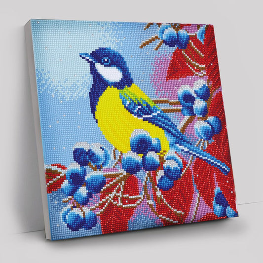 Christmas Bird Crystal Art Canvas Kit 30x30cm