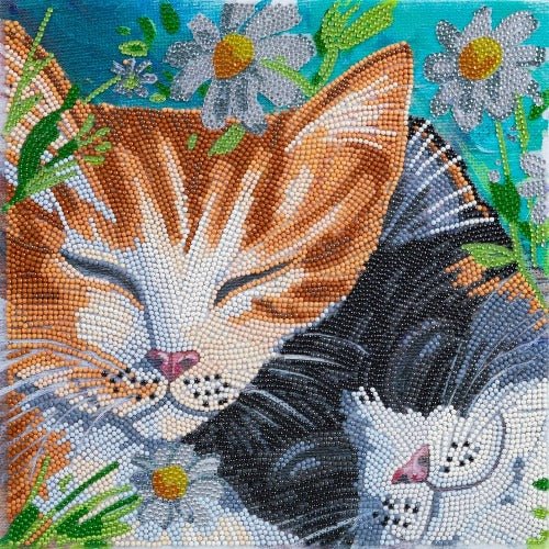 Sleepy Cats Crystal Art Canvas Kit 30x30cm