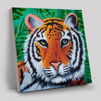 Gentle Tiger Crystal Art Canvas by Rachel Froud 30x30cm