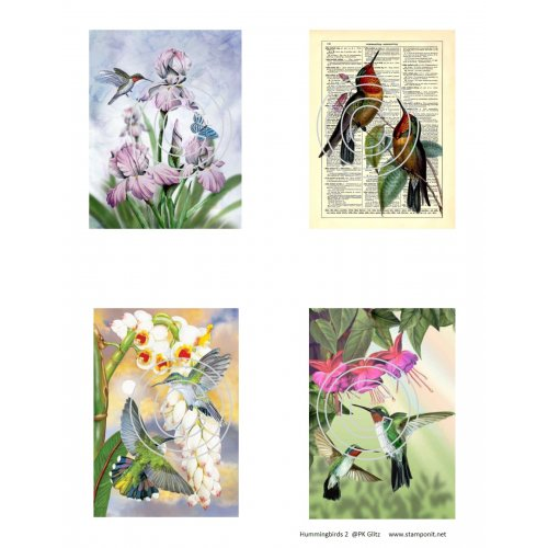 Hummingbirds 2, Vintage Hue Acetate