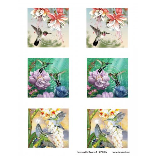 Hummingbird Squares 2, Vintage Hue Acetate