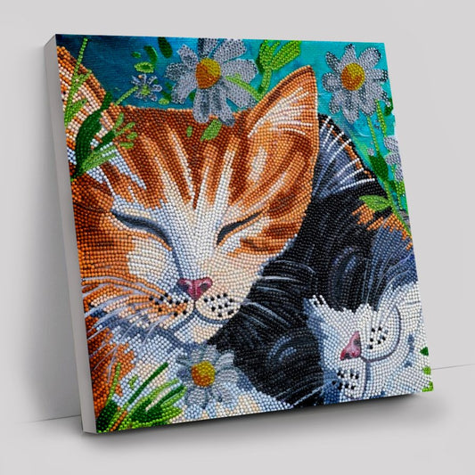 Sleepy Cats Crystal Art Canvas Kit 30x30cm