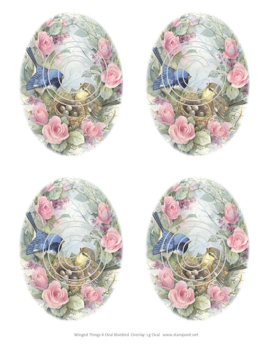 Winged Things 4 Bluebird Ovals, Vintage Hue Acetate