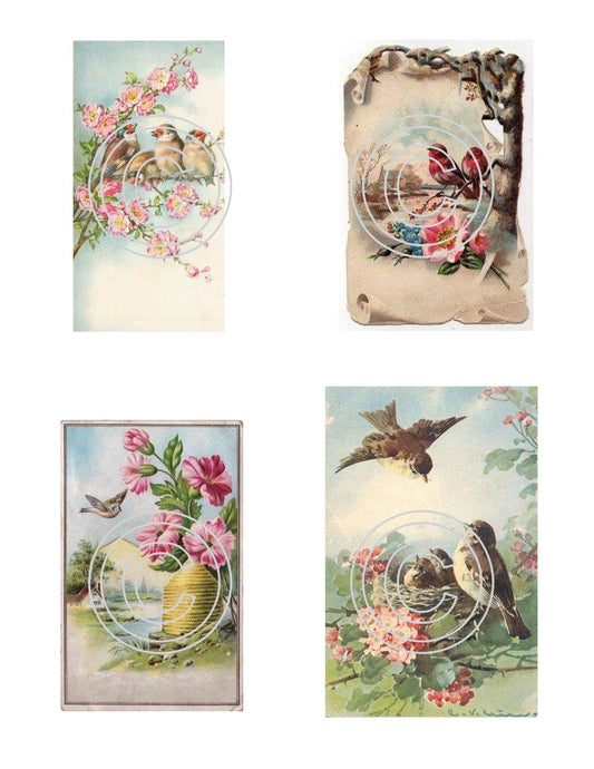 Winged Things 5, Vintage Hue Acetate