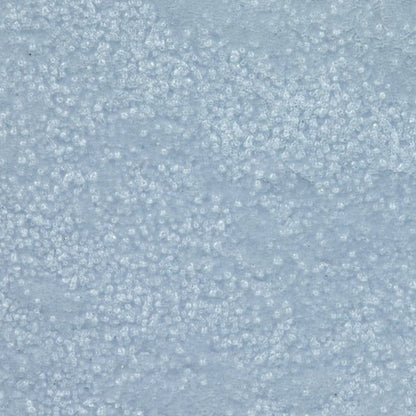 WOW! Embossing Glitter - Frosted Glass